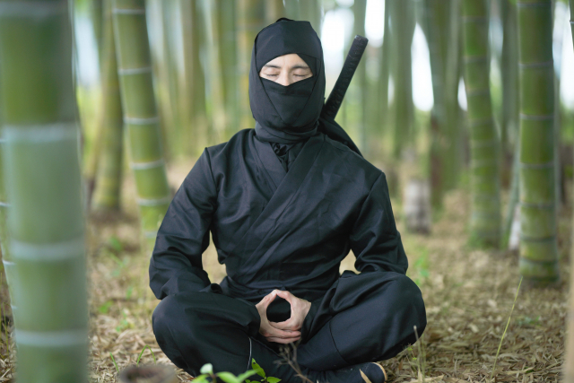 ninja-zazen