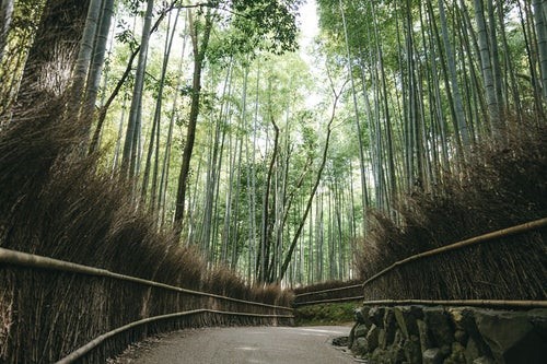 kyoto-arashiyama