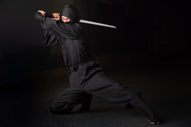 ninja-slash