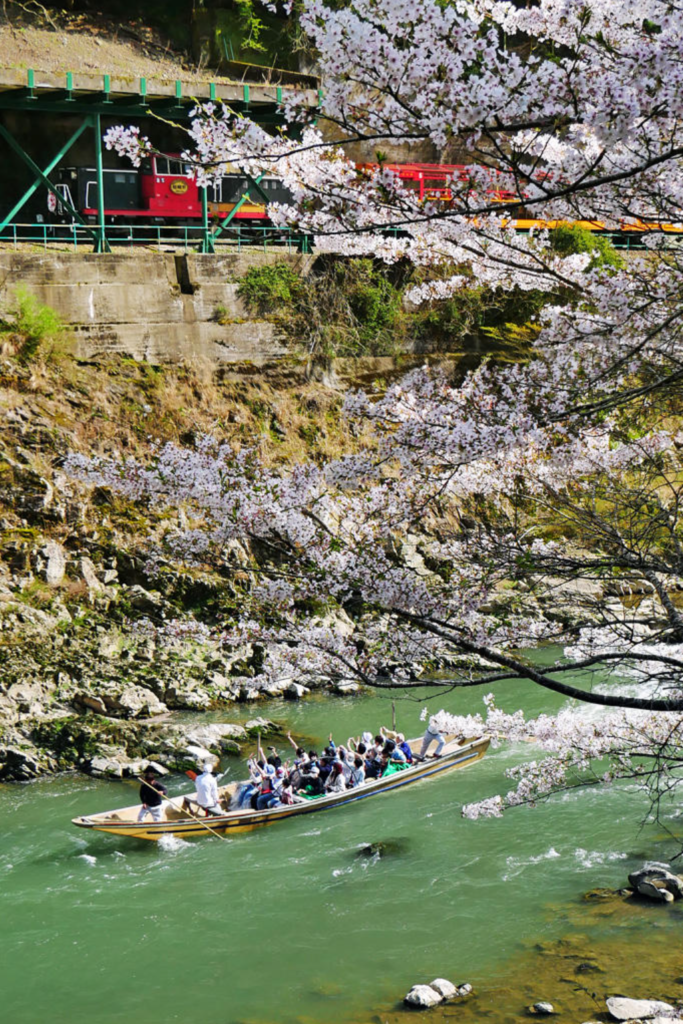 kyoto-cherry-blossom-hozugawa-river