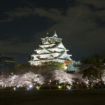 osaka-castle-sakura