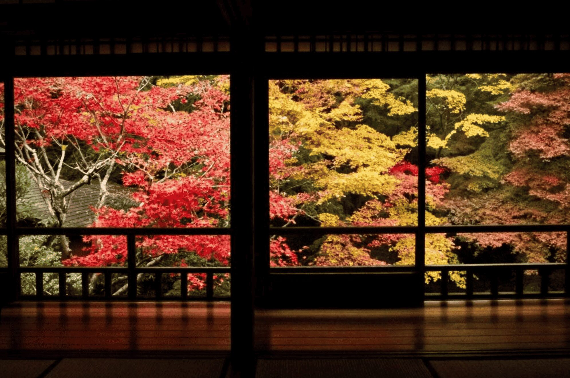 一度は訪れたい！思い出に残る京都の絶景スポット10選 - 忍者体験