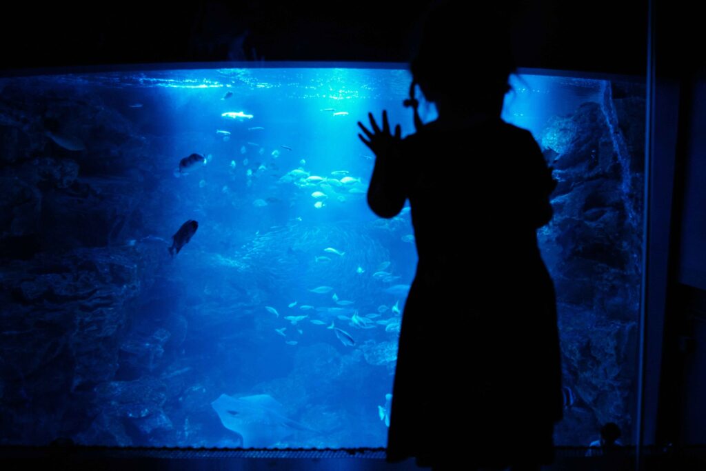 aquarium