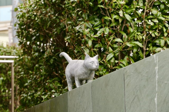 natsume soseki cat neko