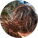 Kuanyun Chen profile picture