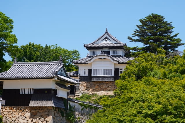 bichu matsuyama castle