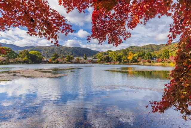 daikakuji