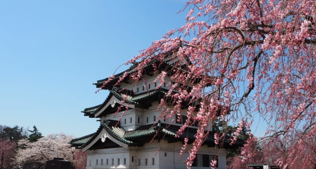hirosaki castle