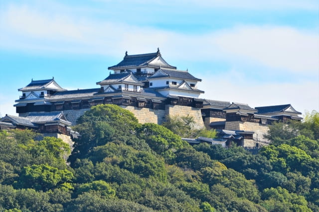 iyo matsuyama castle