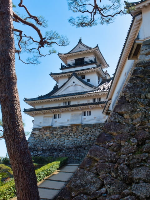 kochi castle