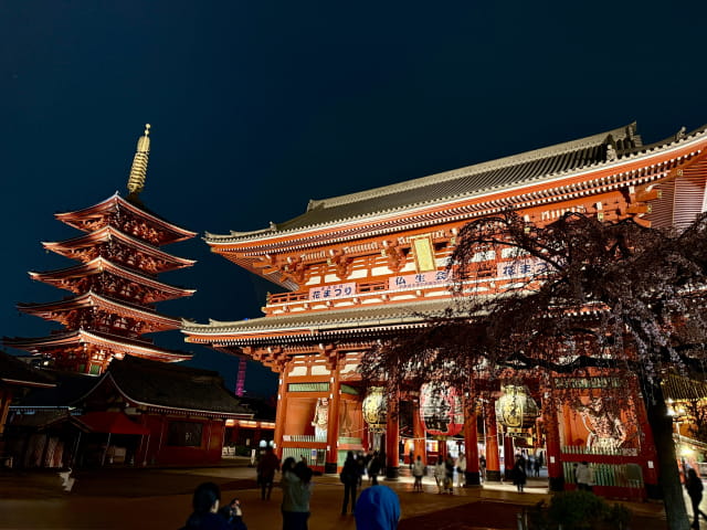 sensoji at night
