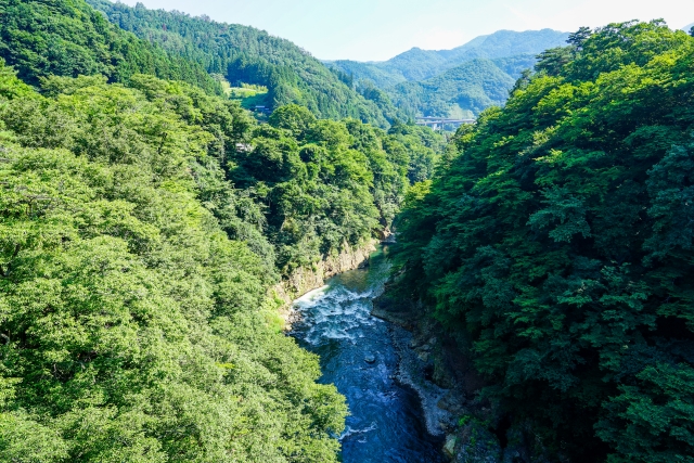 agatsukyo