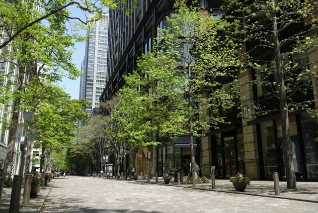 marunouchi nakatori